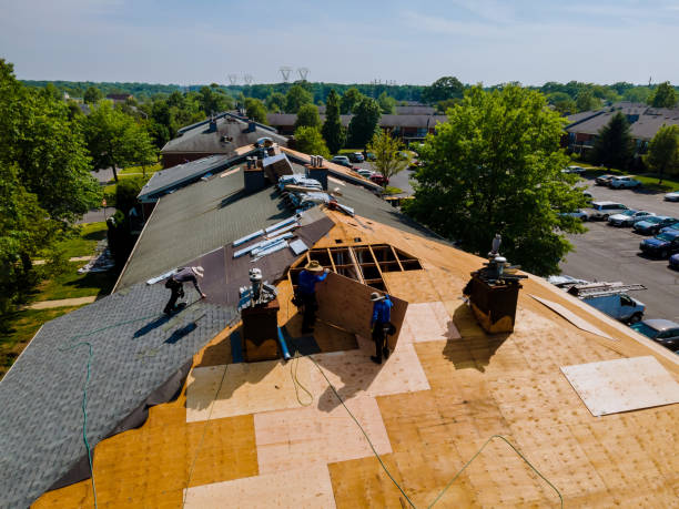 24/7 Emergency Metal Roofing experts in Vanleer, TN